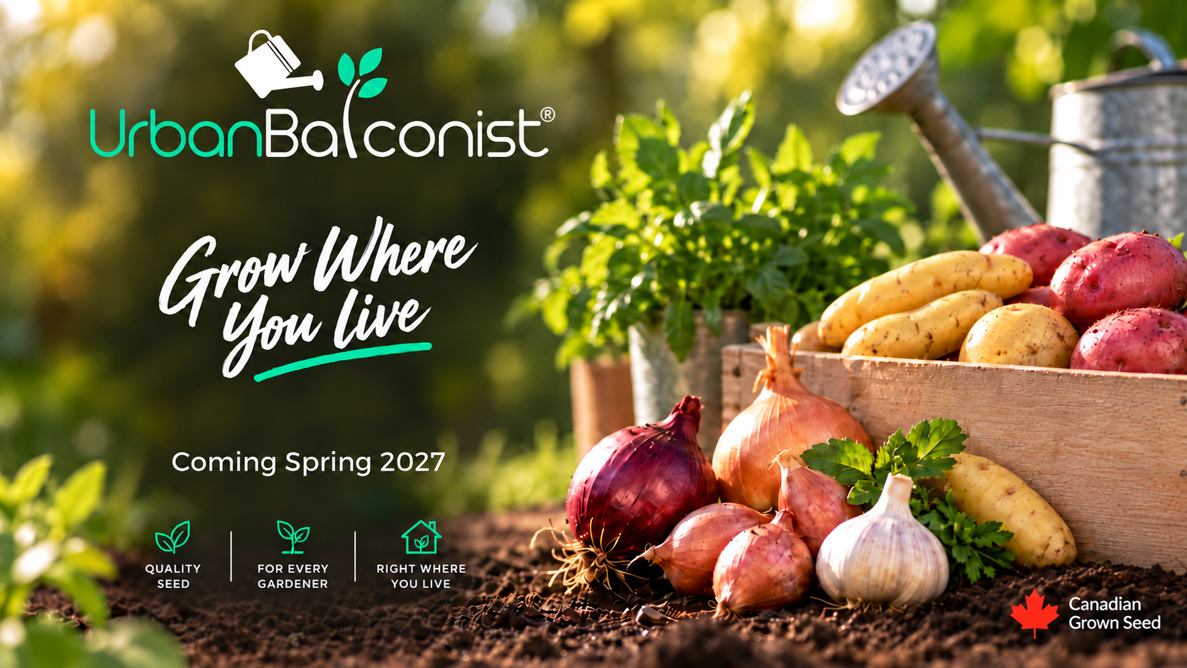 Urban Balconist — Coming Spring 2027